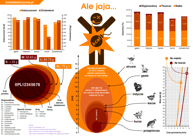 jaja-infografika-wszystko-o-jajkach